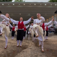 5 - Viljandimaa laulu- ja tantsupidu 2014
