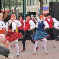 15 - Pori Folk Soomes 2010